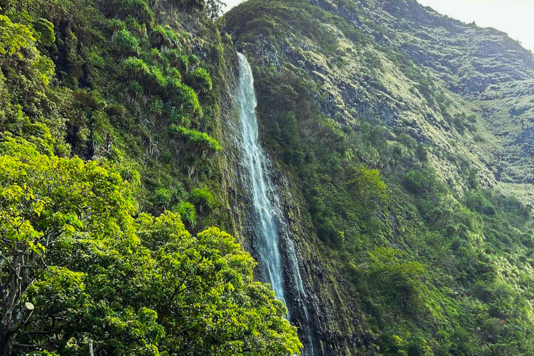 Bluehawaiian Majestic Hilo Waterfall Tour Feature Waterfalls Island