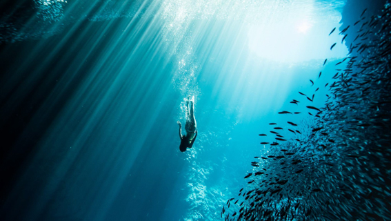 Fourseasons Four Seasons Resort Oahu At Ko Olina Feature Activites Snorkel