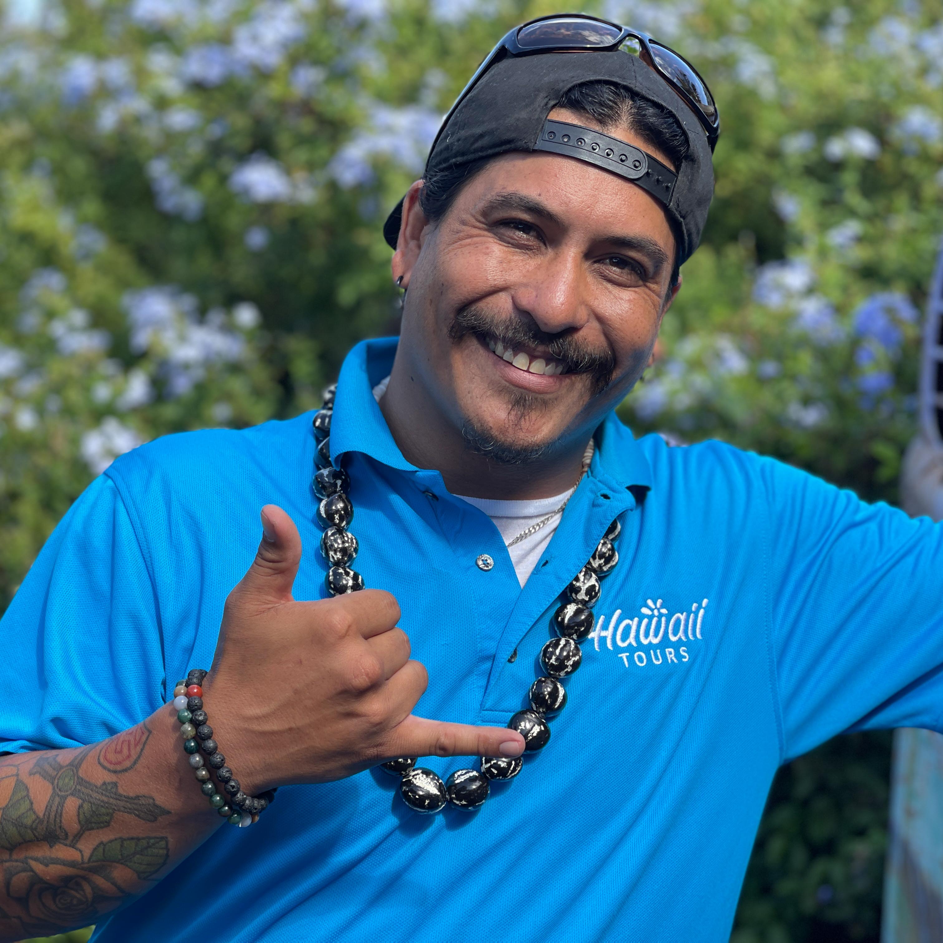 hawaii tours team