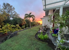 Mangosunset The Area Mini