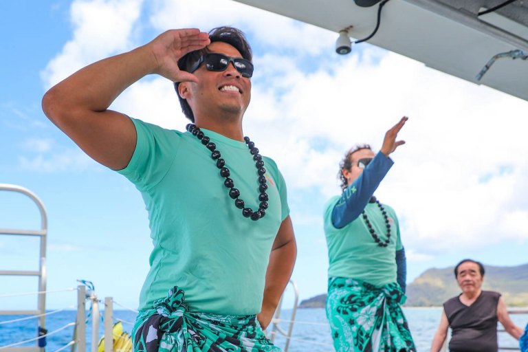 Dolphinsandyou Dolphins And Turtles Up Close Tour Feature Hula