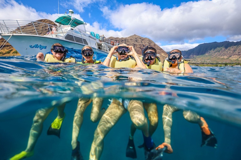Dolphinsandyou Dolphins And Turtles Up Close Tour Feature Paparazzi Friends Snorkeling