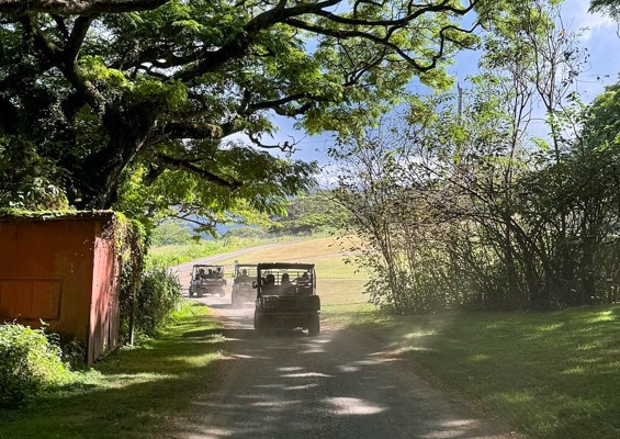 Kualoa Jurassic Valley Private Utv Ride Along Adventure Slide Road