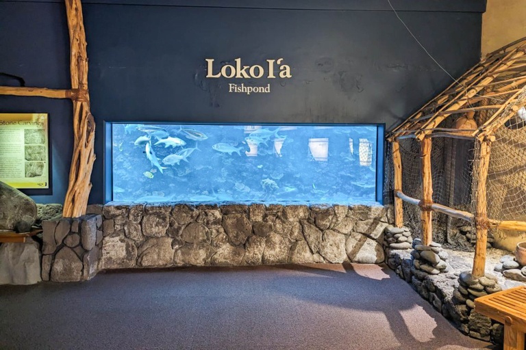 Mauioceancenter Experience Maui Ocean Center Tour Feature Reef Exhibit