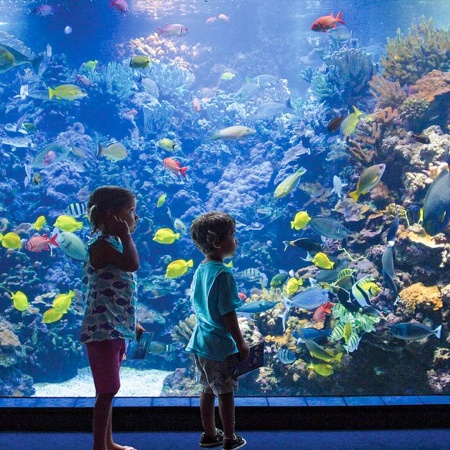 Mauioceancenter Experience Maui Ocean Center Tour Product