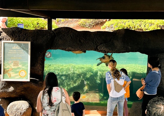 Mauioceancenter Experience Maui Ocean Center Tour Slider Amazing