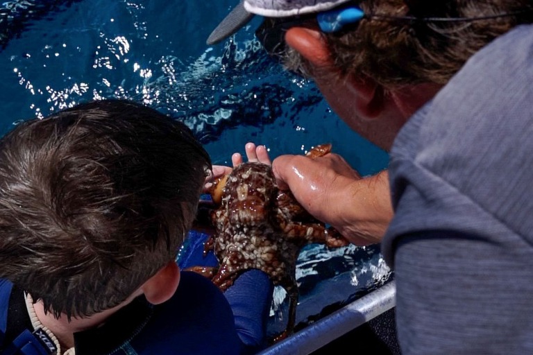 Sailandsnorkelwaikiki Waikiki Sail And Snorkel Tour Feature Wildlife