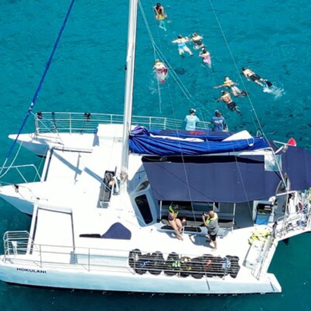 Sailandsnorkelwaikiki Waikiki Whale Watching Product  Of Sail