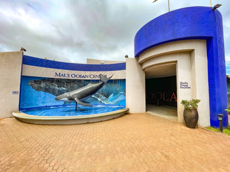 Maui Ocean Center Aquarium Attractions