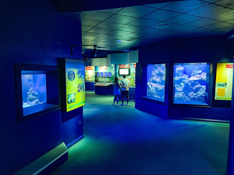 Maui Ocean Center Aquarium Attractions Living Reef