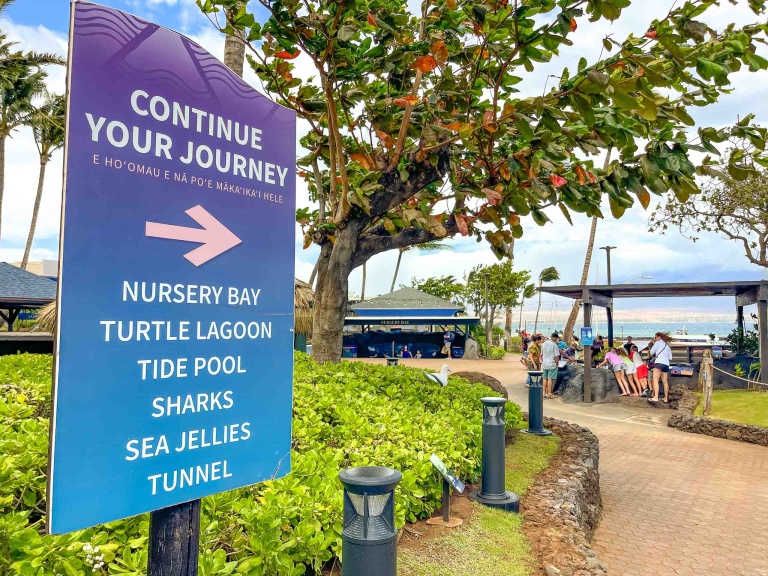 Maui Ocean Center Aquarium Attractions