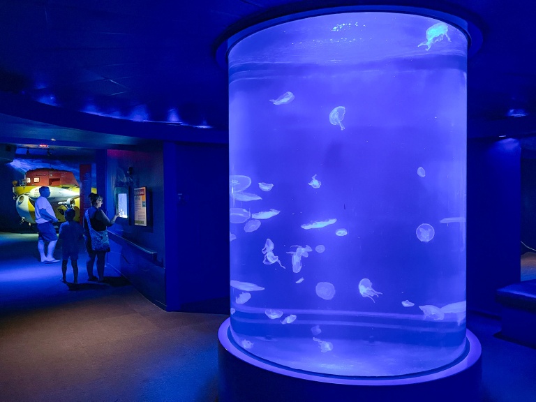 Maui Ocean Center Aquarium Attractions-hawaiitoursphoto