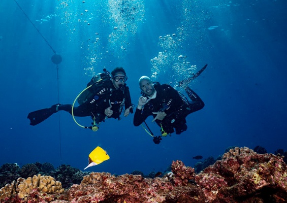 Goscubadivemaui Beginner Scuba Lessons On Maui Slider Scuba Dive Friend