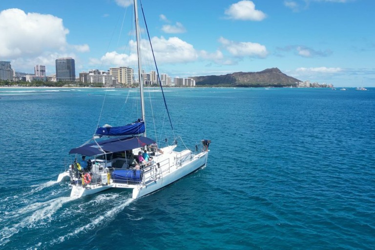 Sailandsnorkelwaikiki Waikiki Whale Watching Tour Feature Cruise