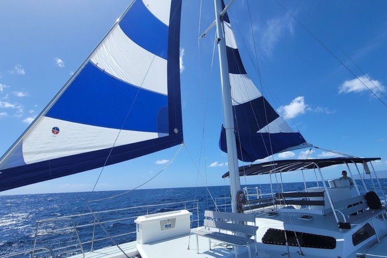 Sailandsnorkelwaikiki Waikiki Whale Watching Tour Feature Onboard Sail