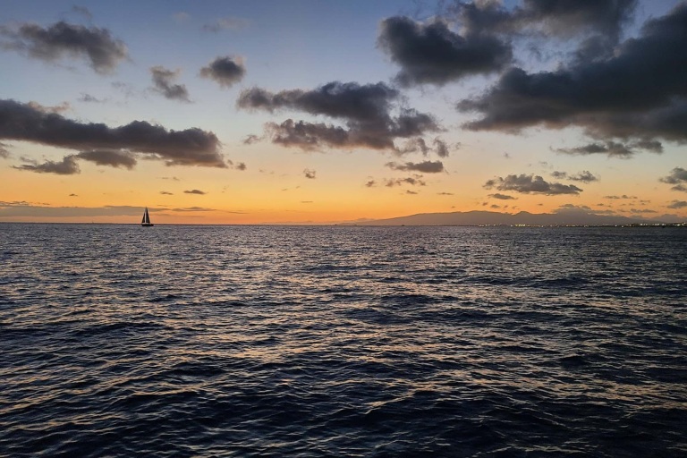 Sailandsnorkelwaikiki Waikiki Whale Watching Tour Feature Panoramic View