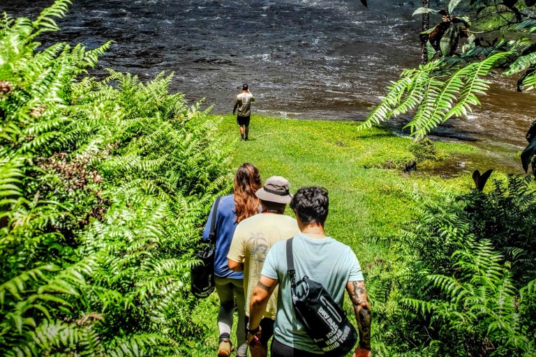 Ziplinetourshawaii Hike Private Waterfalls Tour Feature Small Group