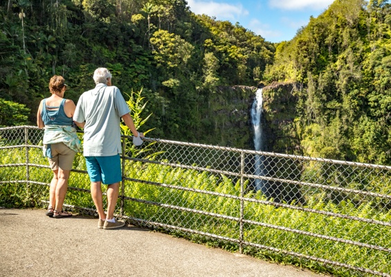 Akaka Falls Overlook Big Island Of Hawaii