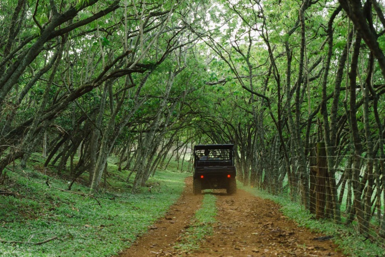 Gunstockranch An Off Road Excursion Tour Feature Forest Ride