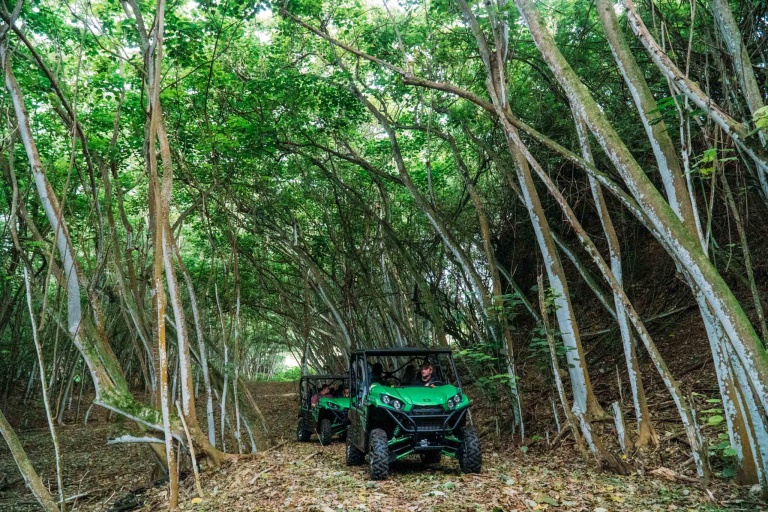 Gunstockranch An Off Road Excursion Tour Feature In Forest