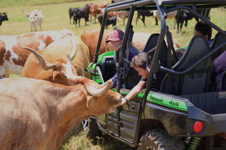 Gunstockranch An Off Road Excursion Tour Feature Local Animal