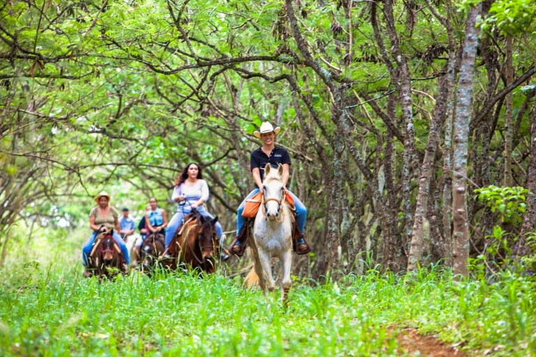 Gunstockranch Explore Oahu On Horseback Feature Laie The North Shore Group