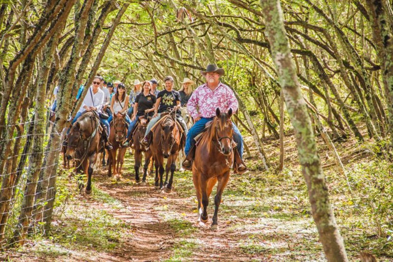 Gunstockranch Explore Oahu On Horseback Feature Laie The North Shore Nice View