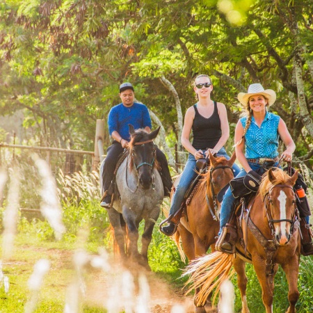 Gunstockranch Explore Oahu On Horseback Product