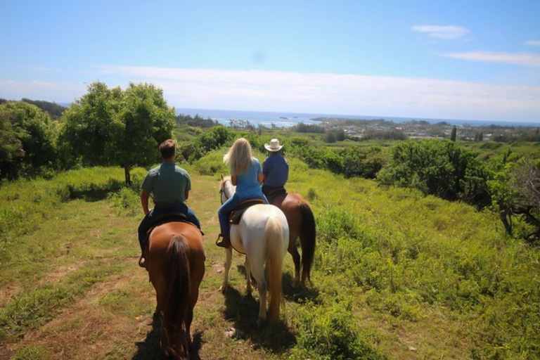 Gunstockranch Horseback Riding Tour Feature See Beauty Oahu