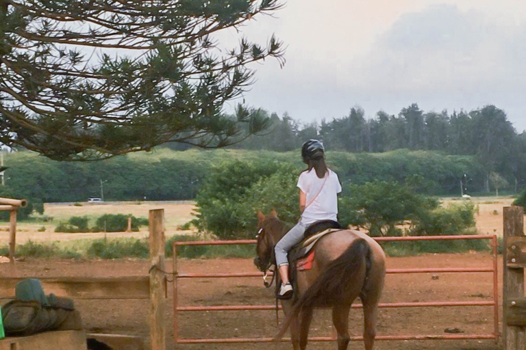 Gunstockranch Horseback Riding Tour Feature Sunset Ride