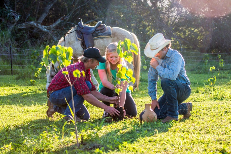Gunstockranch Plant Experience Feature Horseback Planter