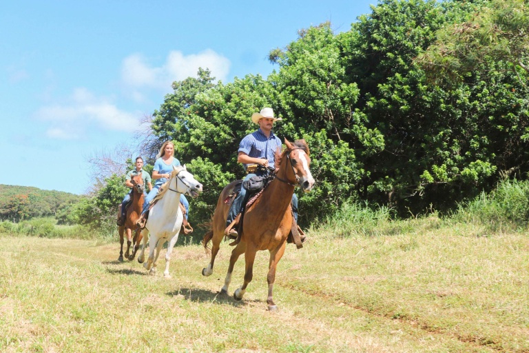 Gunstockranch Plant Experience Feature Horseback Planter Adventure