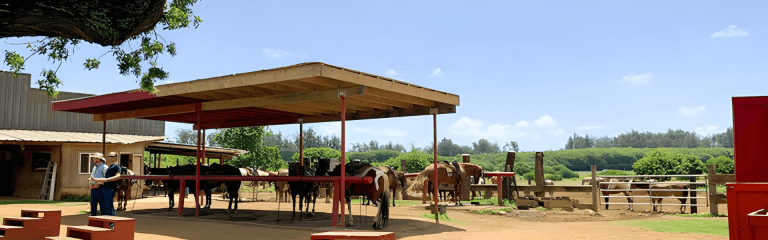 Gunstockranch See More Of Oahu By Horseback Book Now