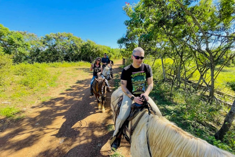 Gunstockranch See More Of Oahu By Horseback Feature Ride On Old Terrain