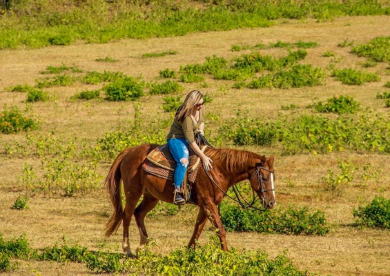 Gunstockranch See More Of Oahu By Horseback Slide Learn To Ride A Horse