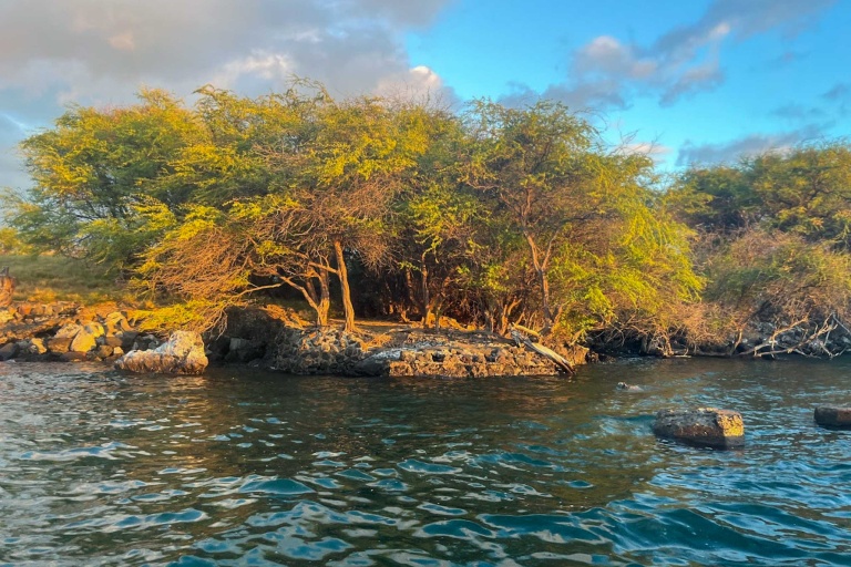 Hawaiiankineadventures See The Whales At Sunset Feature Ruggle Cliff