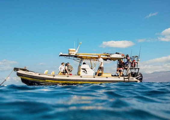 Hawaiiankineadventures See The Whales At Sunset Slide Boat