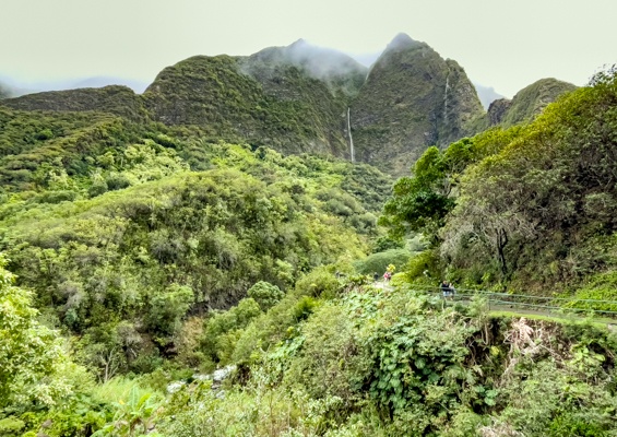 Iao Valley Attractions Maui