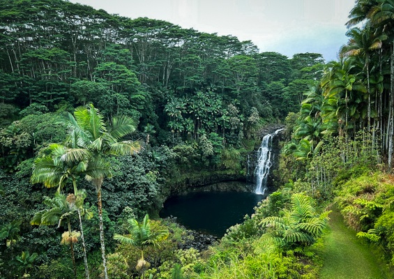 Islandmountainguides Kulaniapia Waterfall Rappeling Tour Slider Great Fall In Nature
