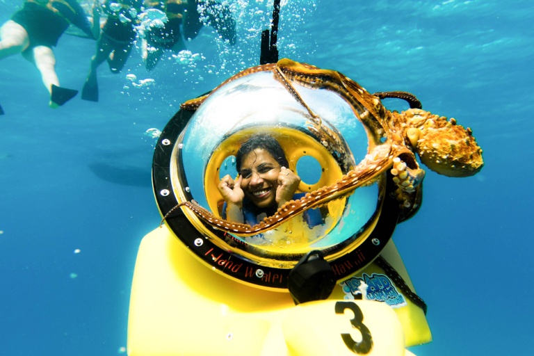 Islandwatersportshawaii Cataraman Cruise With Snorkeling Tour Feature Octopus In Ocean