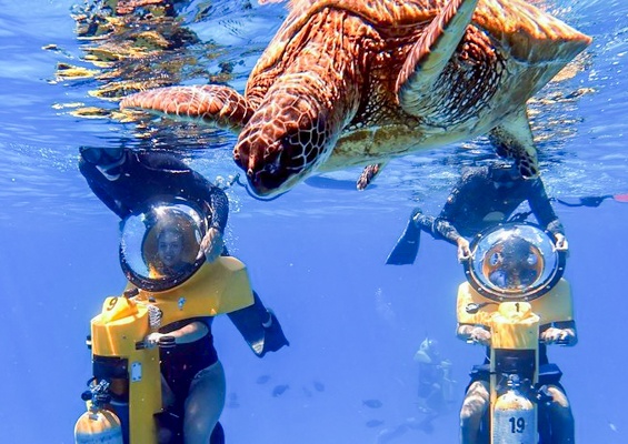 Islandwatersportshawaii Cataraman Cruise With Snorkeling Tour Slide Enjoy The Underwater