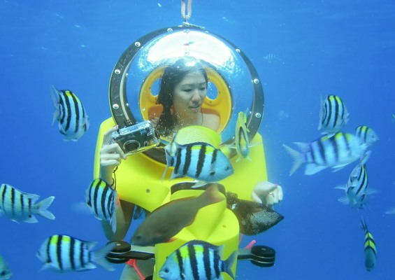 Islandwatersportshawaii Cataraman Cruise With Snorkeling Tour Slide Feed The Fish