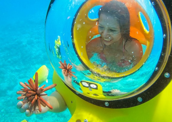 Islandwatersportshawaii Cataraman Cruise With Snorkeling Tour Slide Play With Animal