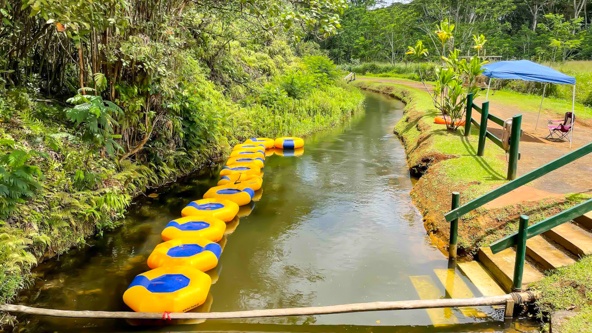 Kauai Story Kauai Tubing Adventure Floating Takeout Position