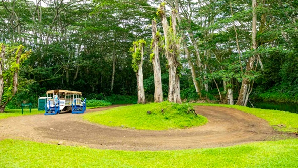 Kauai Story Kauai Tubing Adventure Floating Wayback 
