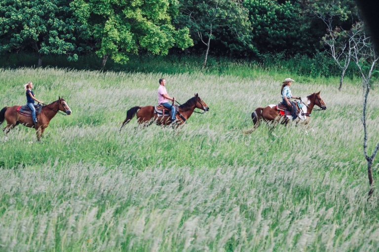 Malama The Aina Experience At Gunstock Ranch Feature Lookout Ride Through Field