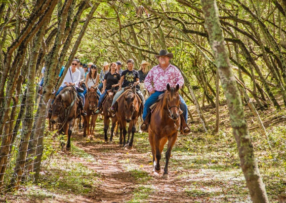 Malama The Aina Experience At Gunstock Ranch Slide Ride Horses