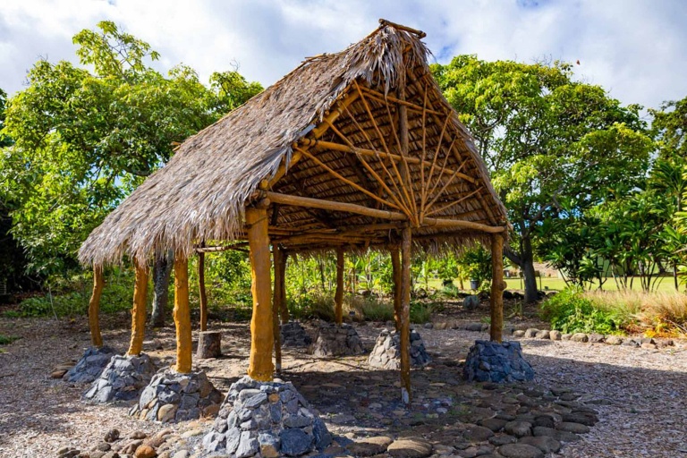Restoremauiecotours The Kipuka Olowalu Project Feature Botanical Gardens