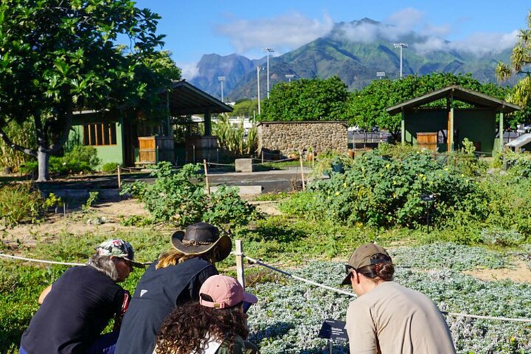 Restoremauiecotours The Maui Nui Botanical Garden Experience Feature Group Activities