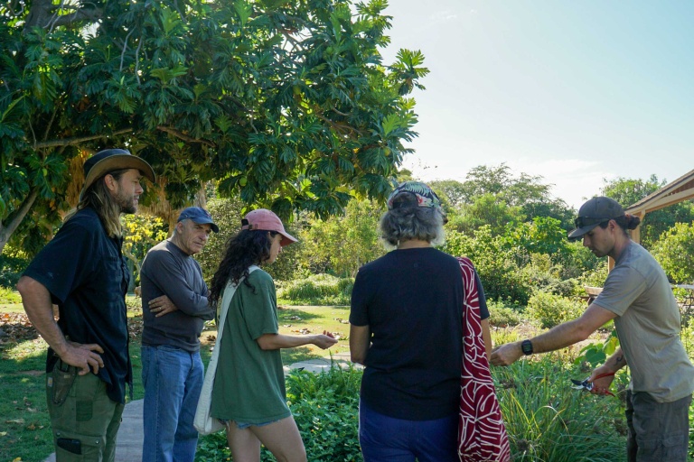 Restoremauiecotours The Maui Nui Botanical Garden Experience Feature Teach Ablout The Garden